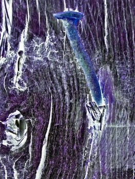 I 042B